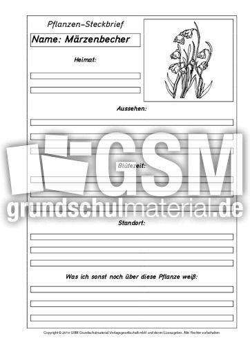 Pflanzensteckbriefvorlage-Märzenbecher-SW.pdf